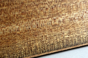 kistje zgm 28 tulipan 7-2025 2014